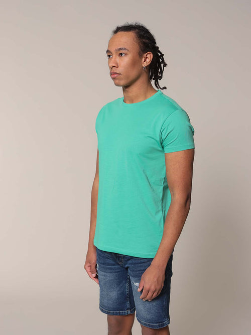 T-Shirt in cotone SUPIMA®|Colore:Verde acqua
