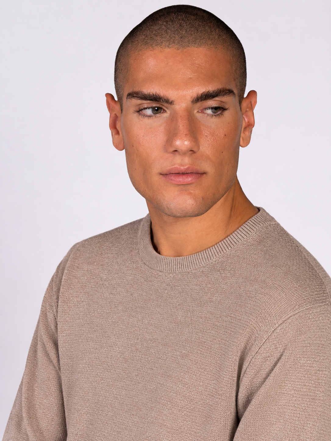 MAGLIA GIROCOLLO JACQUARD|Colore:Beige